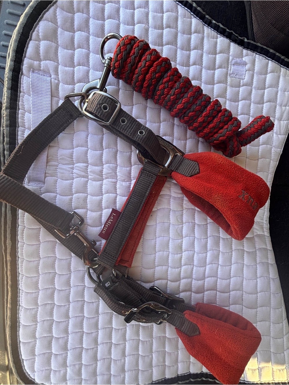 Cob Lemieux Vogue Halter & Leadrope Sienna